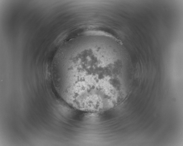 X0000061740140200512161700