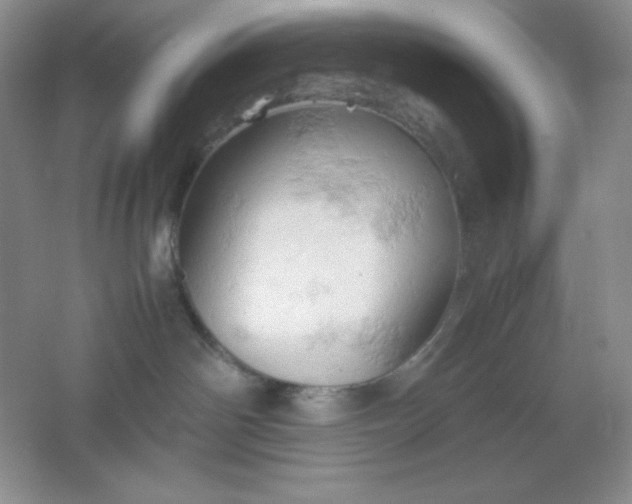 X0000061740142200512161700