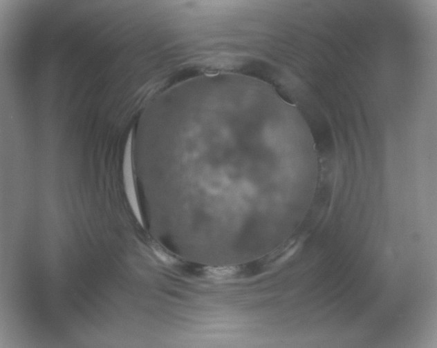 X0000061740143200512161700