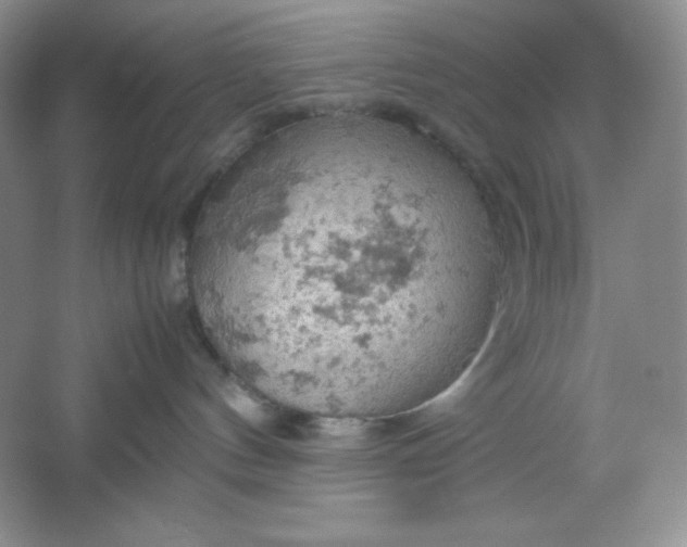 X0000061740144200512161700