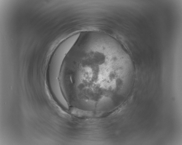 X0000061740145200512161659