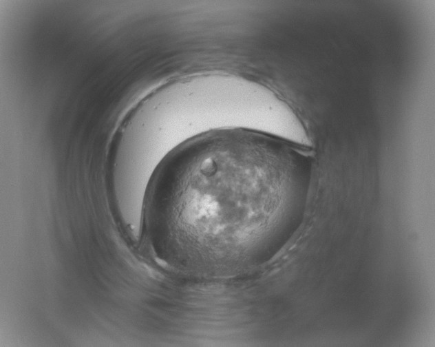 X0000061740146200512161659