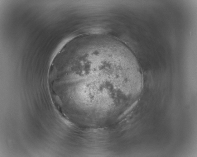 X0000061740147200512161659