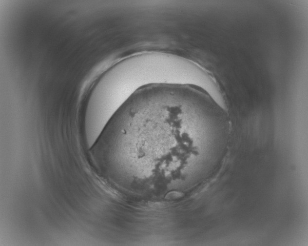 X0000061740149200512161659