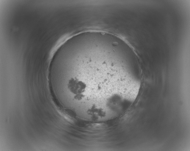 X0000061740151200512161659