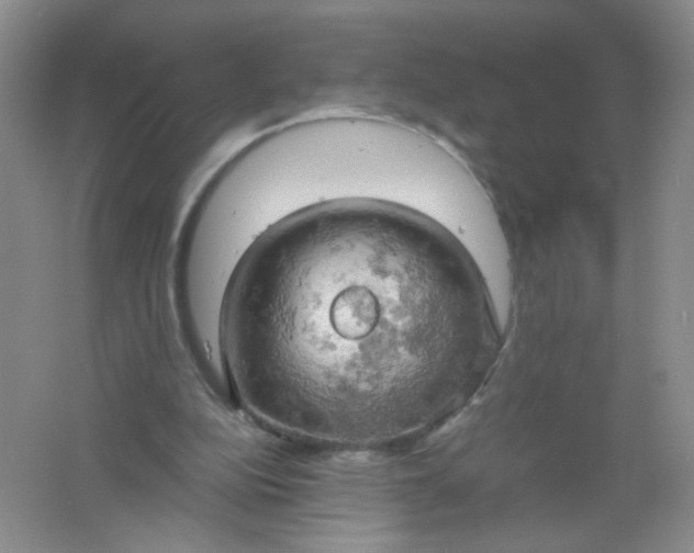 X0000061740152200512161659