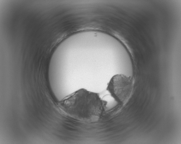 X0000061740153200512161659