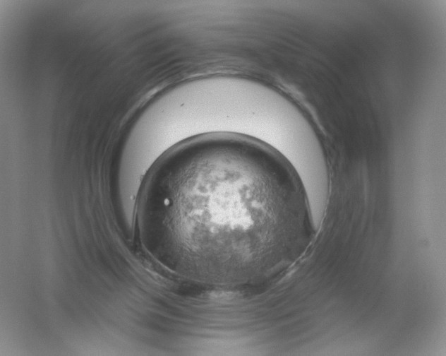 X0000061740154200512161659