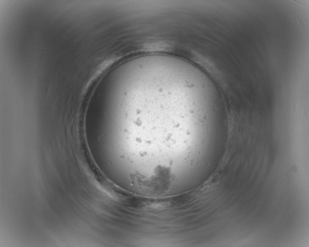 X0000061740155200512161659