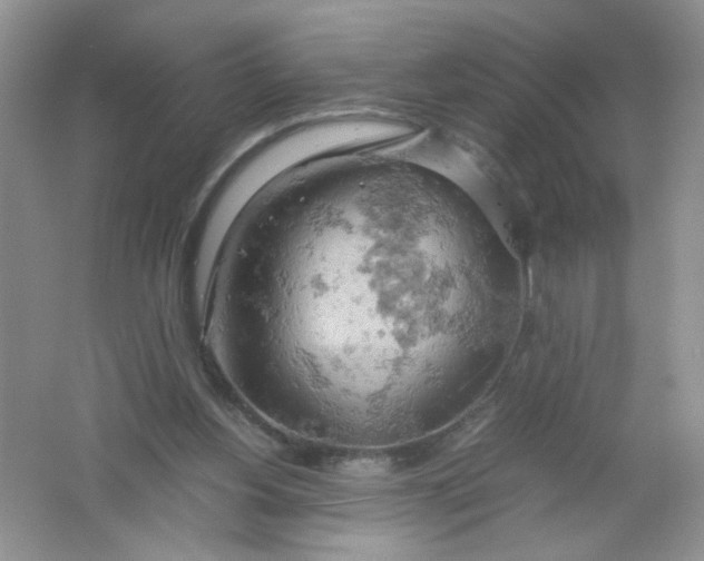 X0000061740156200512161659