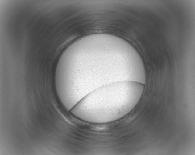 X0000061740157200512161659