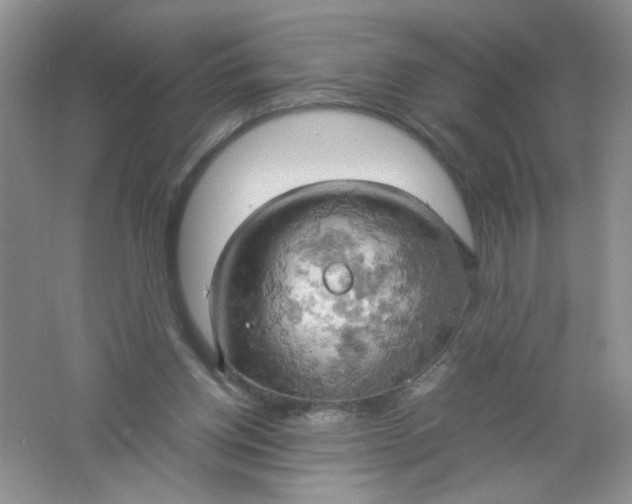 X0000061740158200512161659