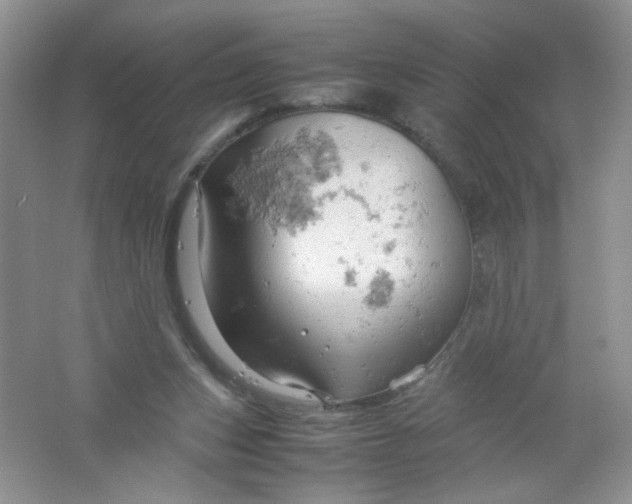 X0000061740159200512161659