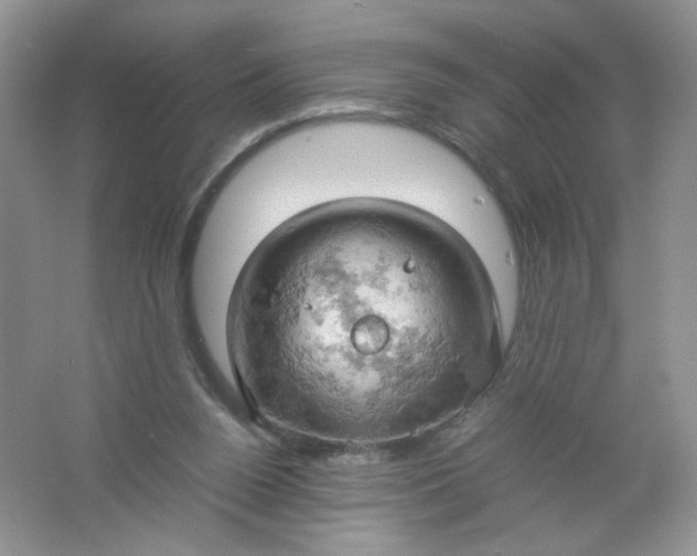 X0000061740160200512161659