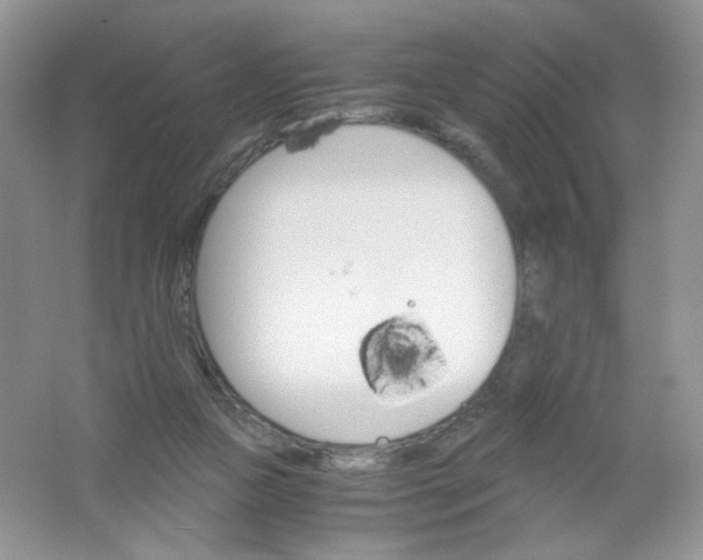 X0000061740161200512161659