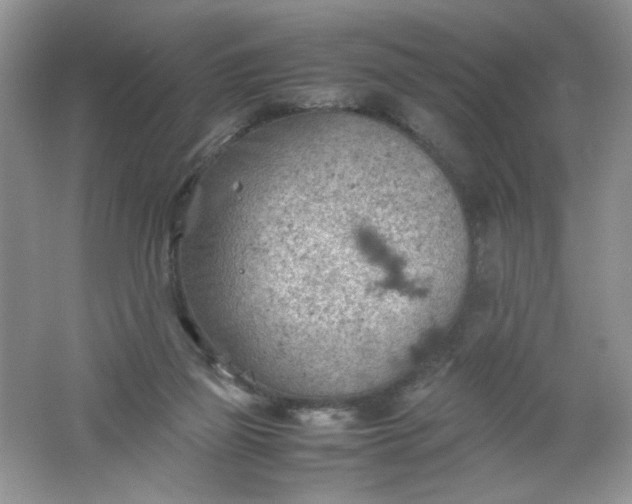 X0000061740165200512161659