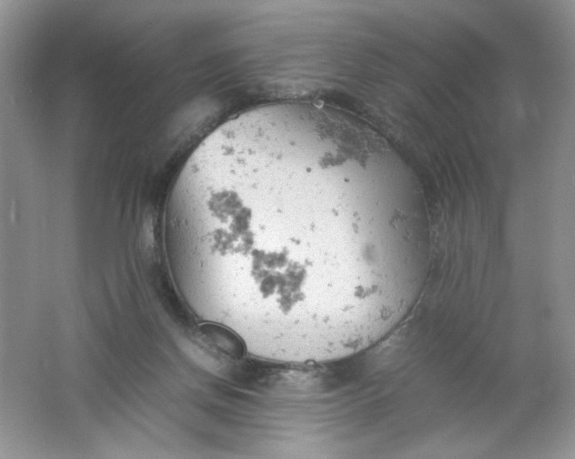 X0000061740166200512161659