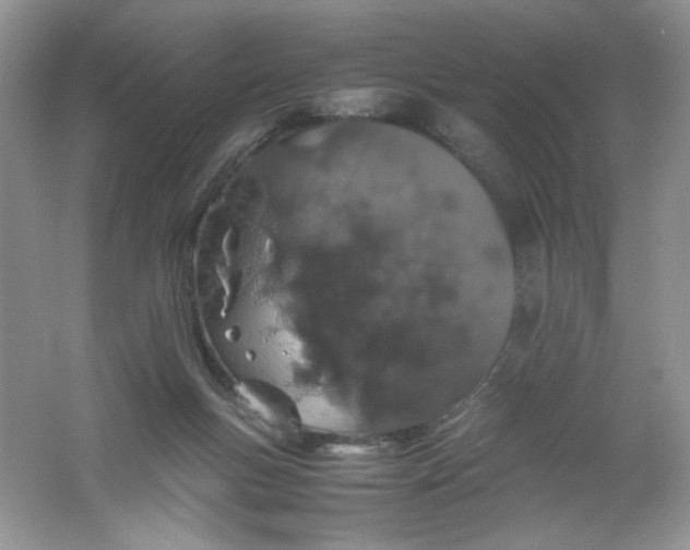 X0000061740167200512161659