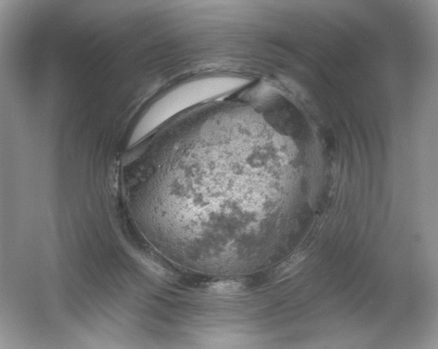 X0000061740168200512161659