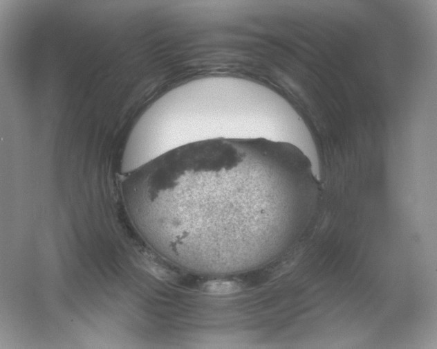 X0000061740169200512161659