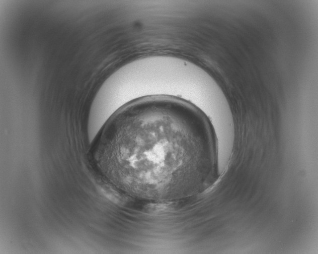 X0000061740170200512161659