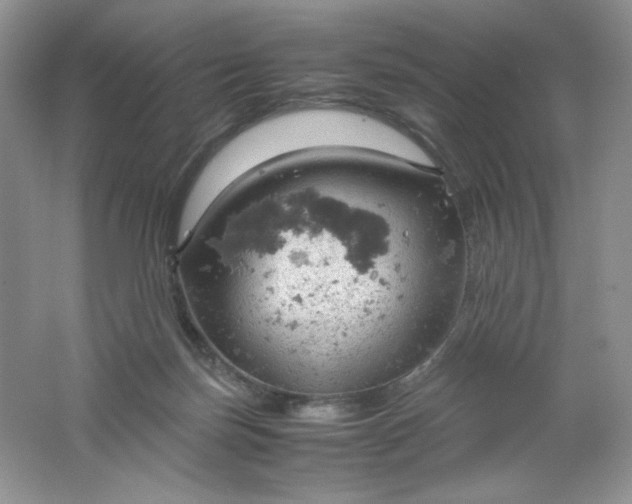 X0000061740171200512161659