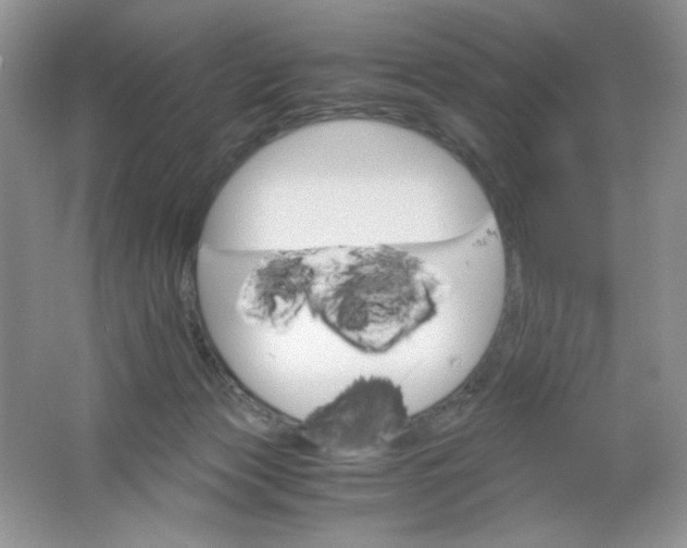 X0000061740173200512161700