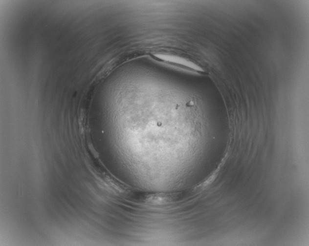 X0000061740174200512161700