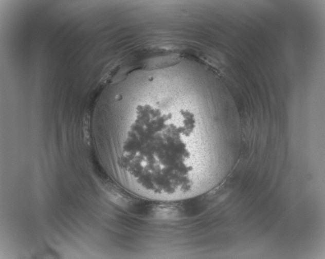 X0000061740175200512161700