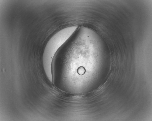 X0000061740176200512161700