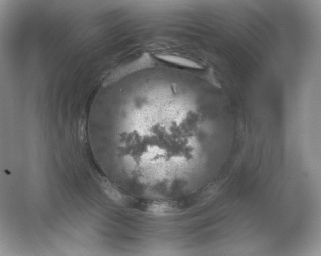 X0000061740177200512161700