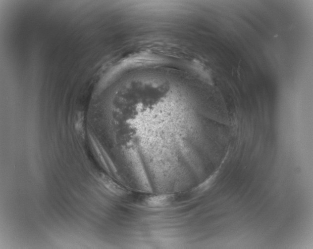 X0000061740178200512161700