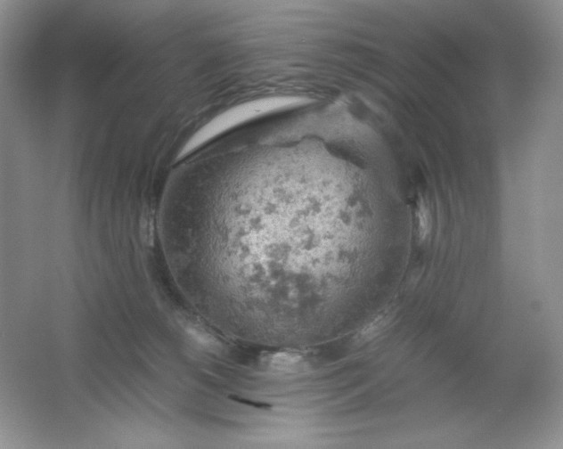 X0000061740180200512161700