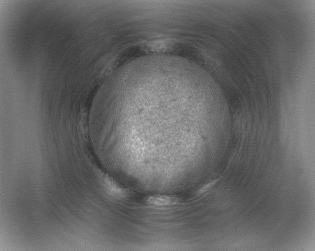 X0000061740181200512161700