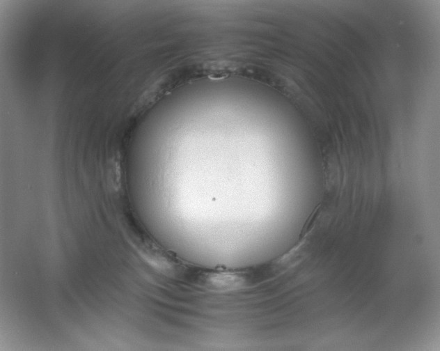 X0000061740183200512161700