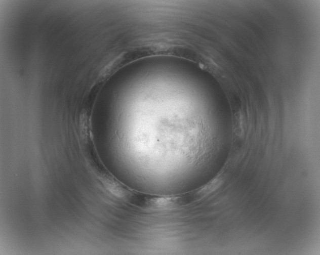 X0000061740184200512161700