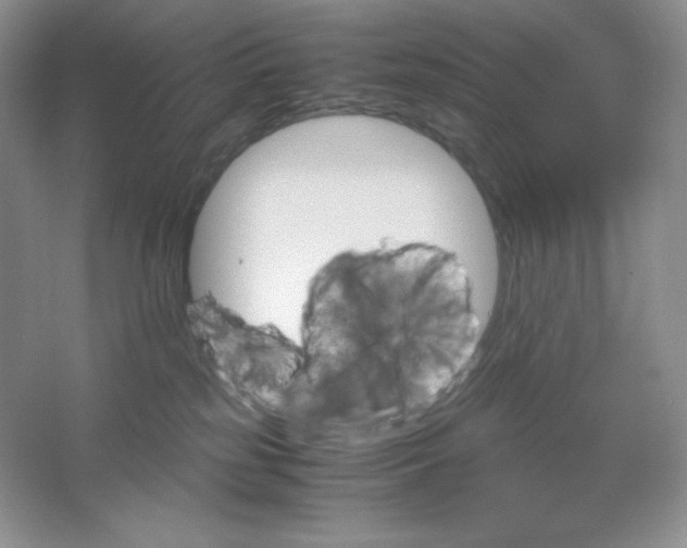 X0000061740185200512161700