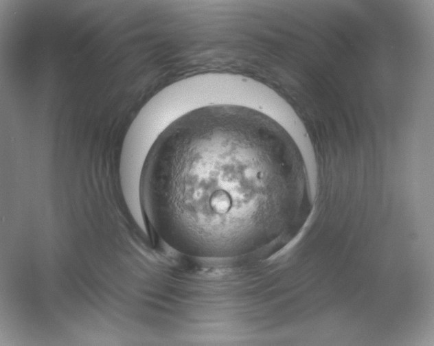 X0000061740186200512161700