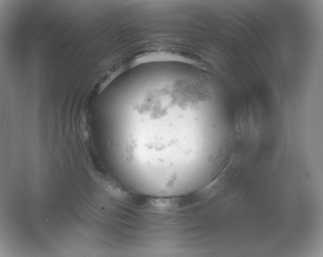 X0000061740187200512161700