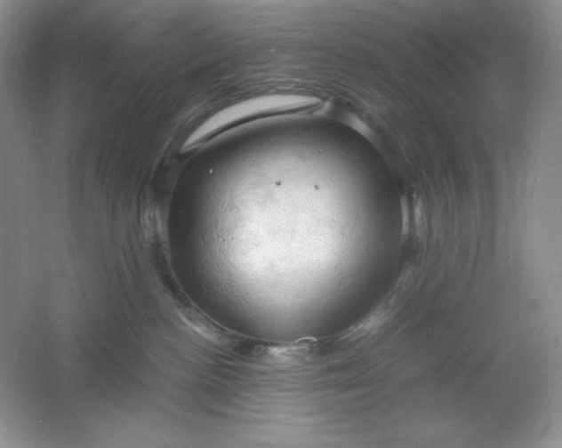 X0000061740188200512161700