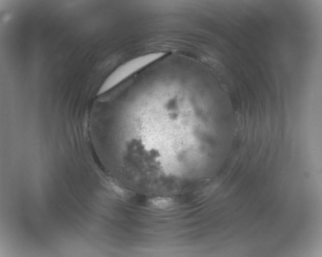 X0000061740189200512161700