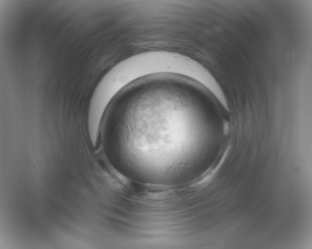 X0000061740190200512161700