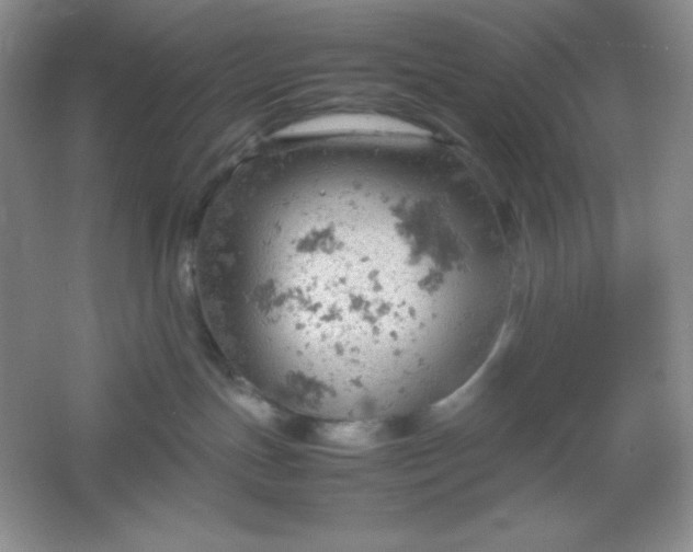 X0000061740191200512161700