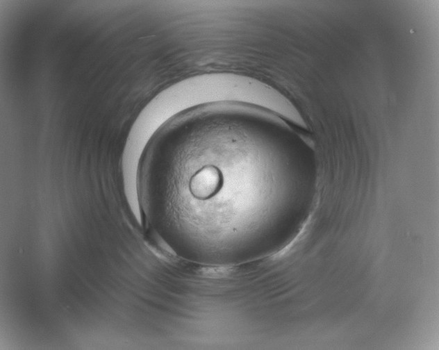 X0000061740192200512161700