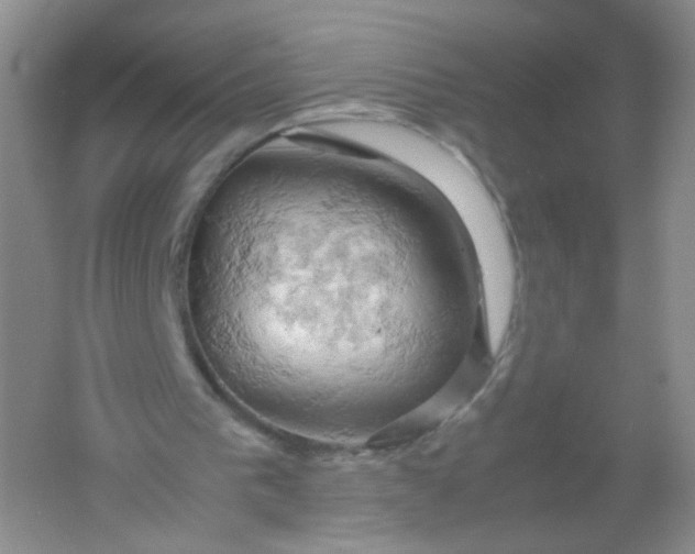 X0000061740193200512161659