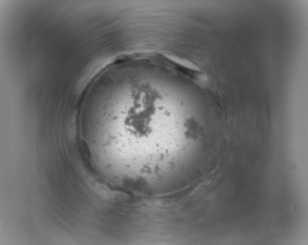 X0000061740194200512161659