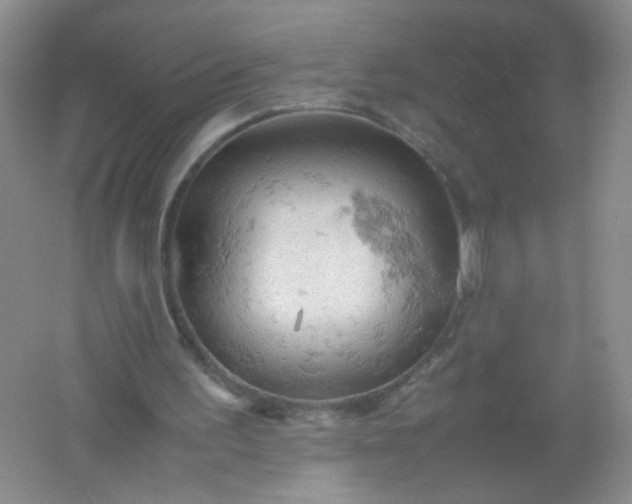 X0000061740195200512161659