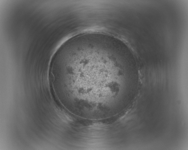 X0000061740196200512161659