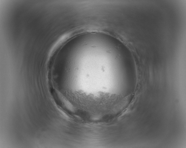 X0000061740197200512161659