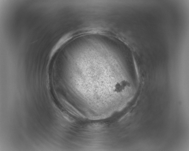 X0000061740198200512161659